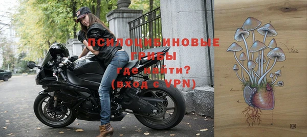 крисы Богданович