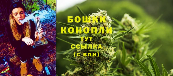 крисы Богданович