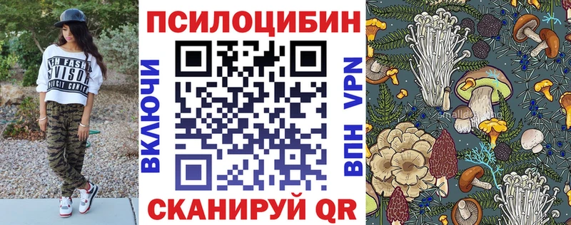 Купить закладки  Светлогорск  Псилоцибиновые грибы прущие грибы 